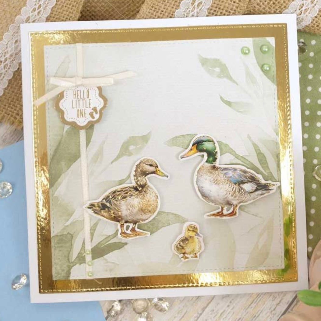 Delightful Die-Cuts - Beautiful Birds - Hunkydory