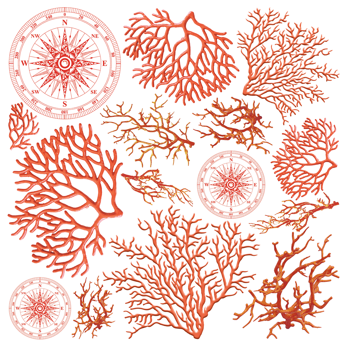 Ciao Bella - Coral Reef - Vellum 6x6 Fussy Cut Ephemera Pad