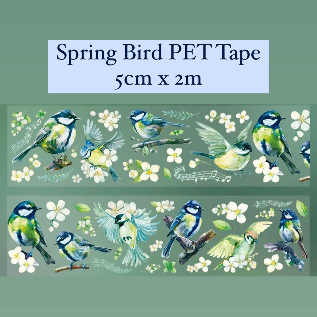 Songbird PET Tape - 5cm x 2m - Scrapbook & Journaling - 4 designs