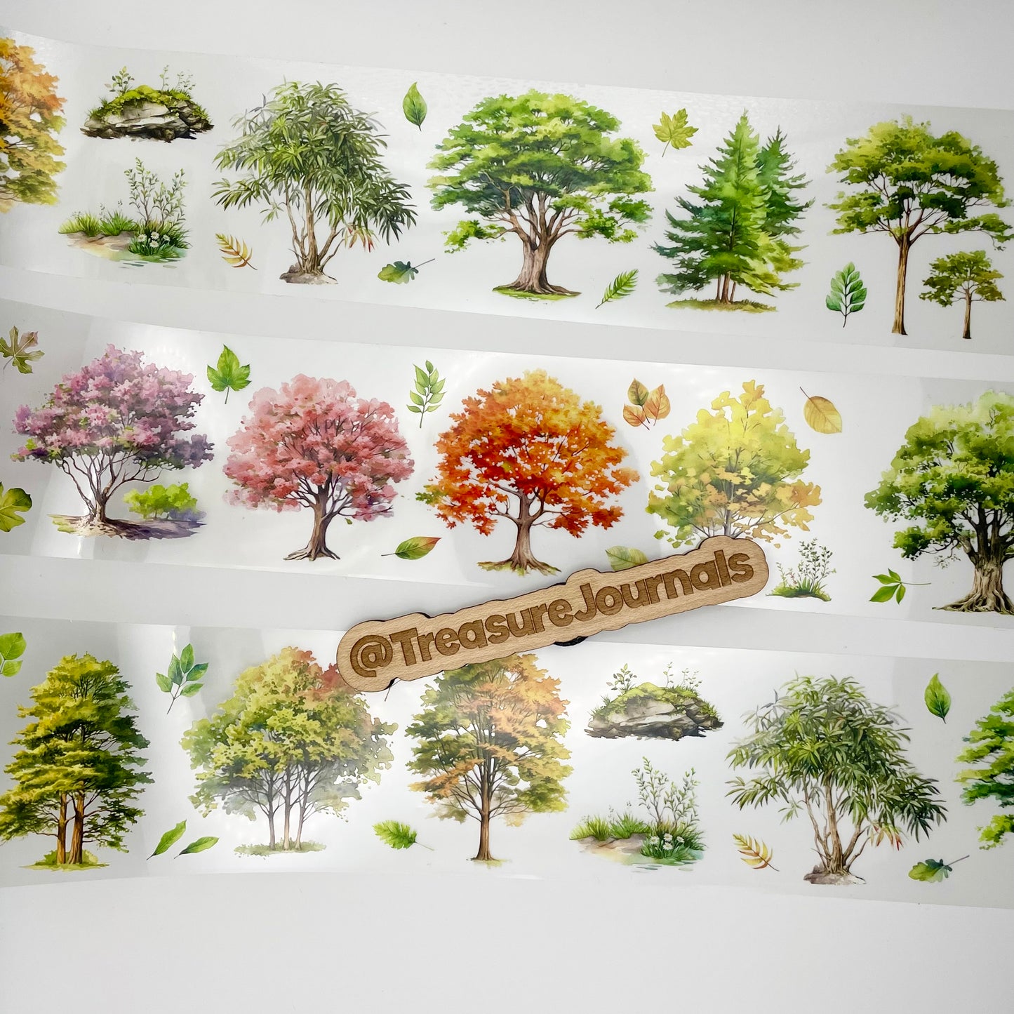 Mixed Trees PET Tape 6cm x 2m