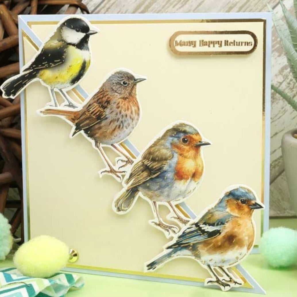 Delightful Die-Cuts - Beautiful Birds - Hunkydory