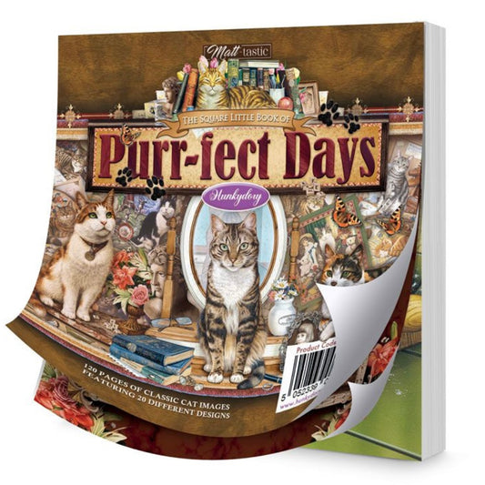 The Square Little Book of Purr-fect Days - Hunkydory