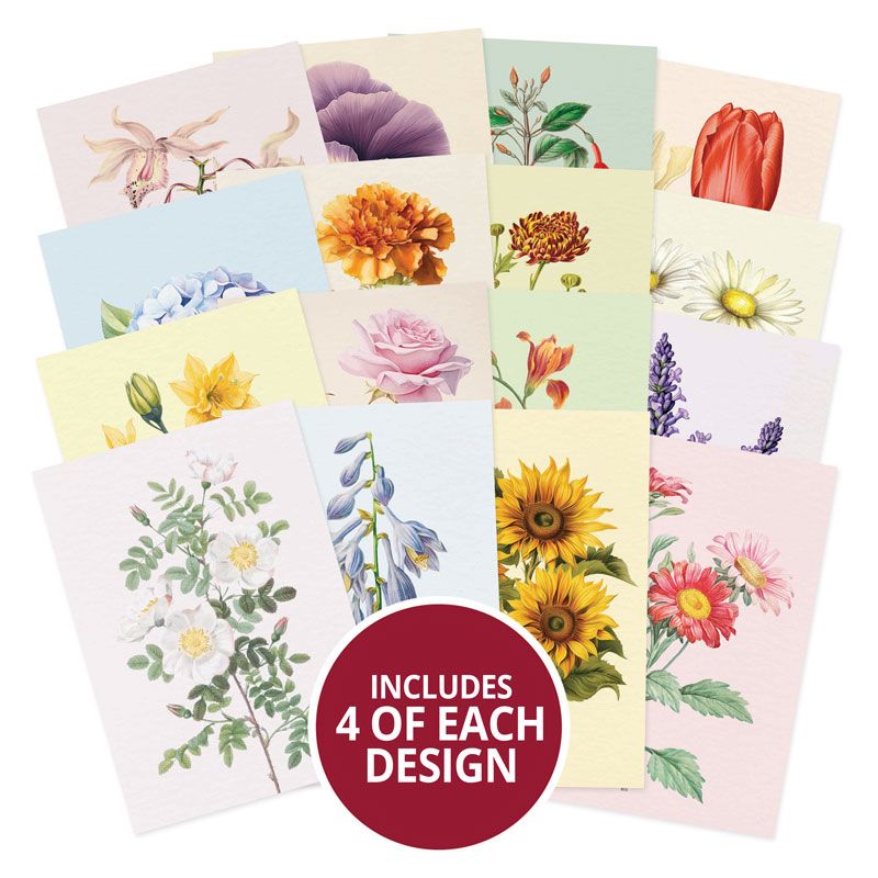 Beautiful Botanicals - Pocket Pad - Hunkydory